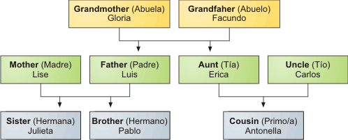 Árbol genealógico ejemplo para aplicar el uso de: grandmother (abuela), grandfather (abuelo), mother (madre), father (padre), aunt (tía), uncle (tío), sister (hermana), brother (hermano), cousin (primo/a)